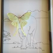 La valse des Éléphants